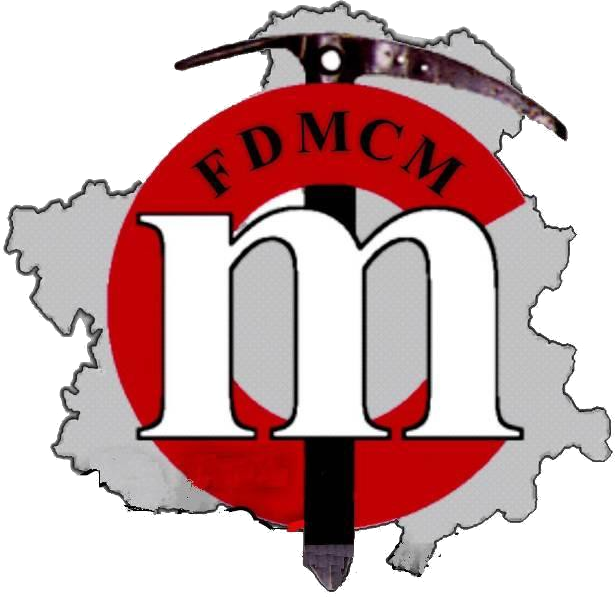 logotipo Fdmcm